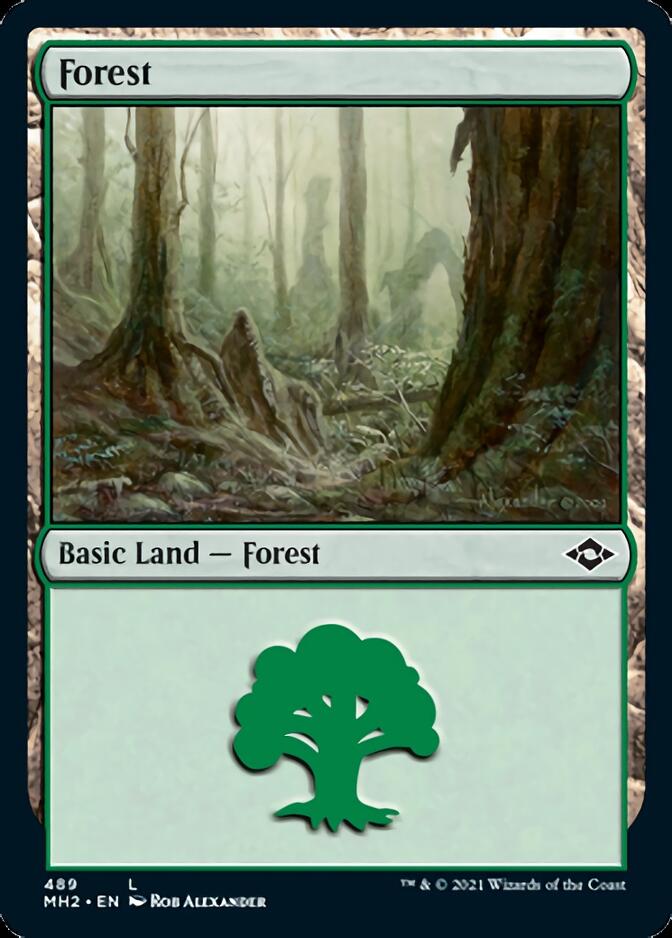 Forest (489) (Foil Etched) [Modern Horizons 2] | Boutique FDB TCG