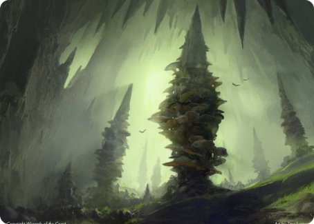 Forest (280) Art Card [Dungeons & Dragons: Adventures in the Forgotten Realms Art Series] | Boutique FDB TCG