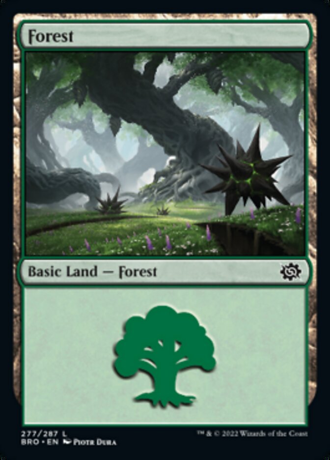 Forest (277) [The Brothers' War] | Boutique FDB TCG