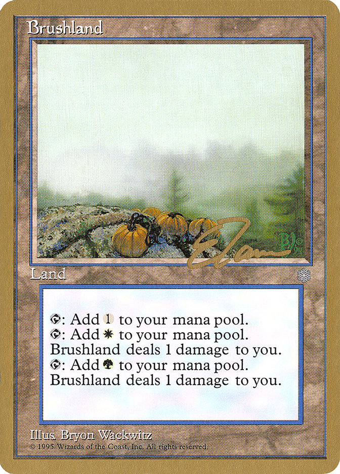 Brushland (Eric Tam) [Pro Tour Collector Set] | Boutique FDB TCG