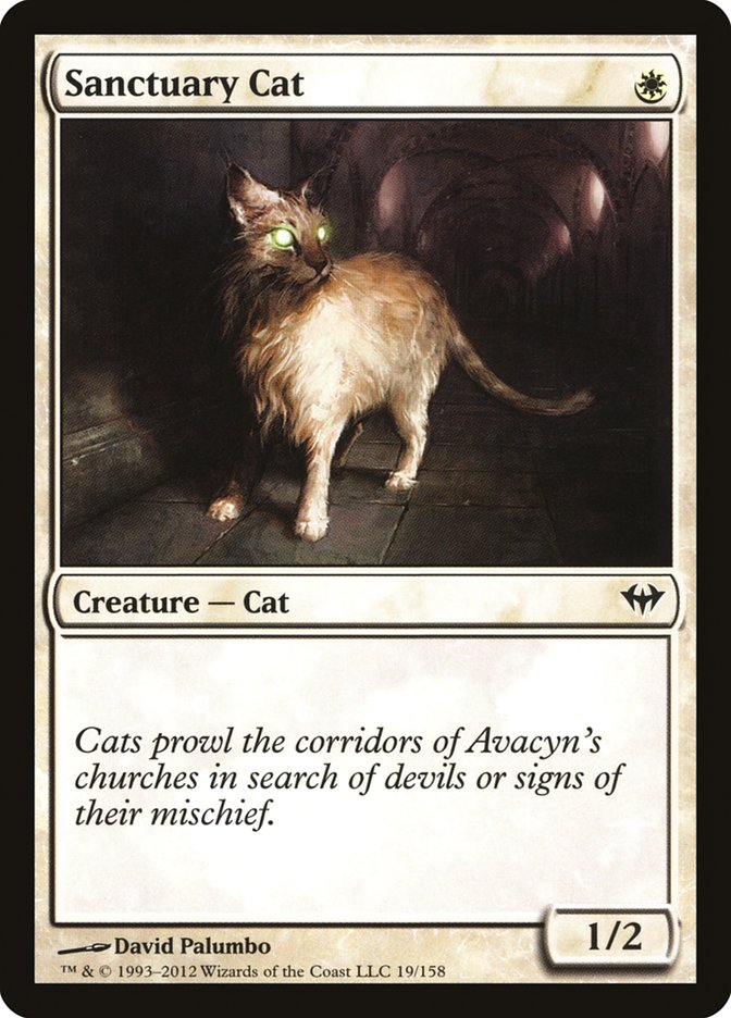 Sanctuary Cat [Dark Ascension] | Boutique FDB TCG