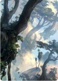 Forest 1 Art Card [Zendikar Rising Art Series] | Boutique FDB TCG